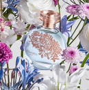 Floratta Blue Desodorante Colônia Feminino 75ml