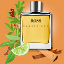 Perfume Hugo Boss Boss Number One Eau de Toilette Masculino 100ml