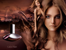 Calvin Klein Euphoria Eau de Parfum Feminino 100ml