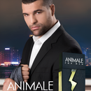 Perfume Animale Masculino Eau de Toilette Masculino 200ml Original