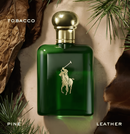 Ralph Lauren Polo Green Eau de Toilette Masculino 125ml