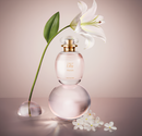 Combo O Boticário Lily Blanche Colônia 75ml + Creme Acetinado 250g Feminino